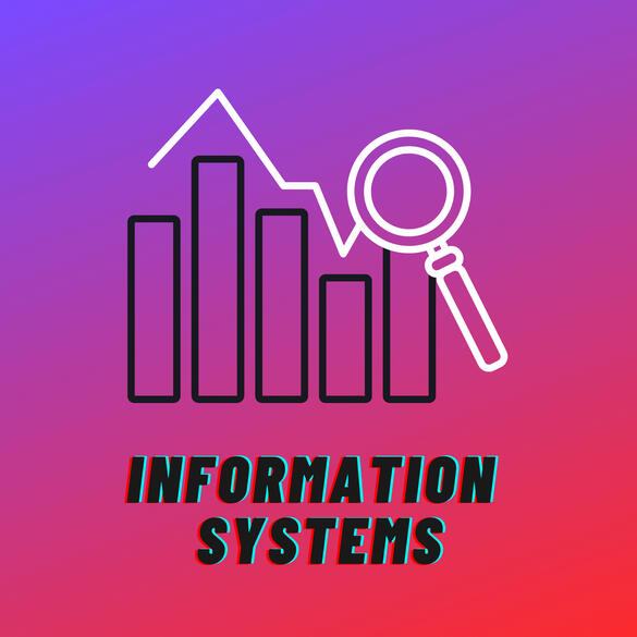 Information Systems